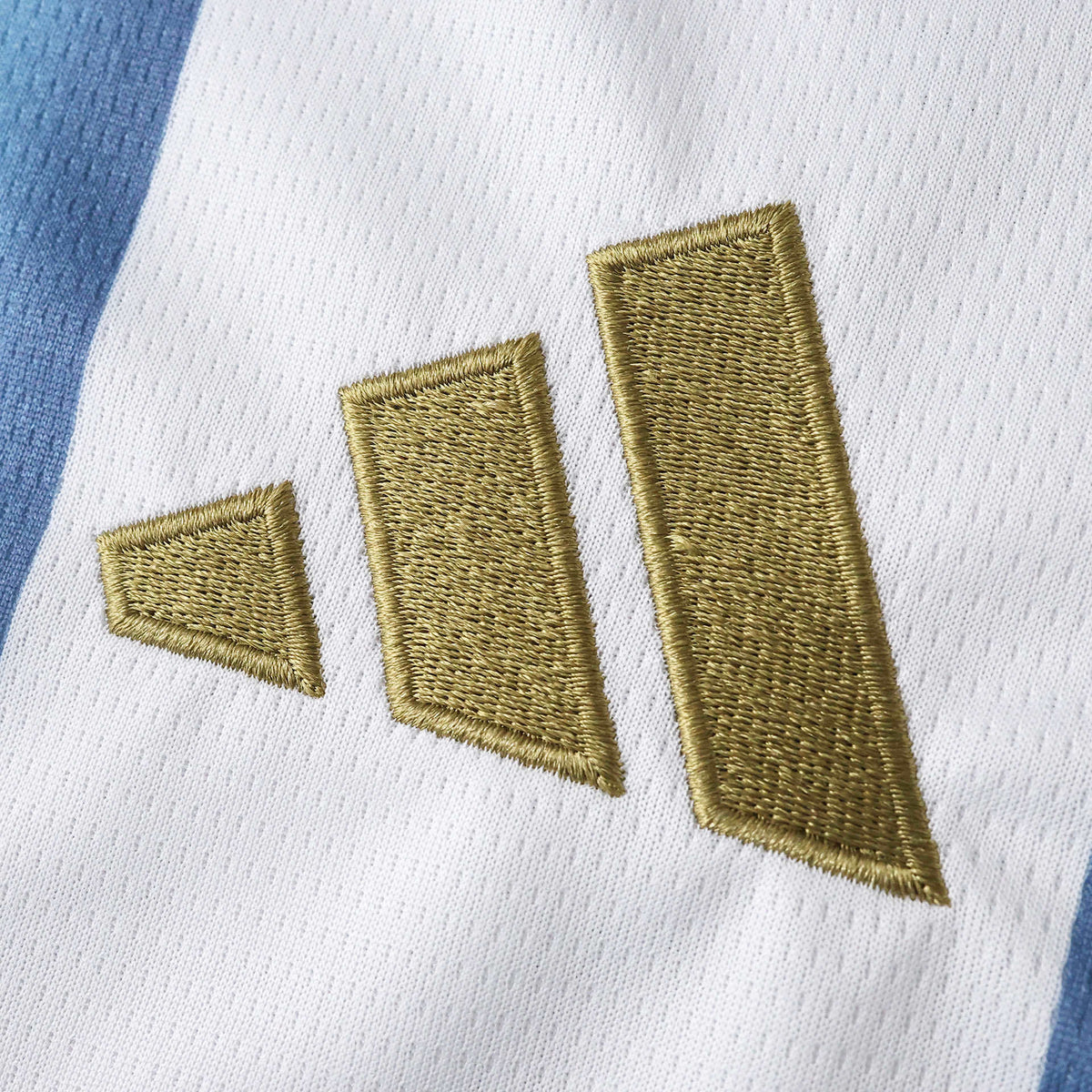 Tricou Argentina Home Kit - Messi 10 Fan Version