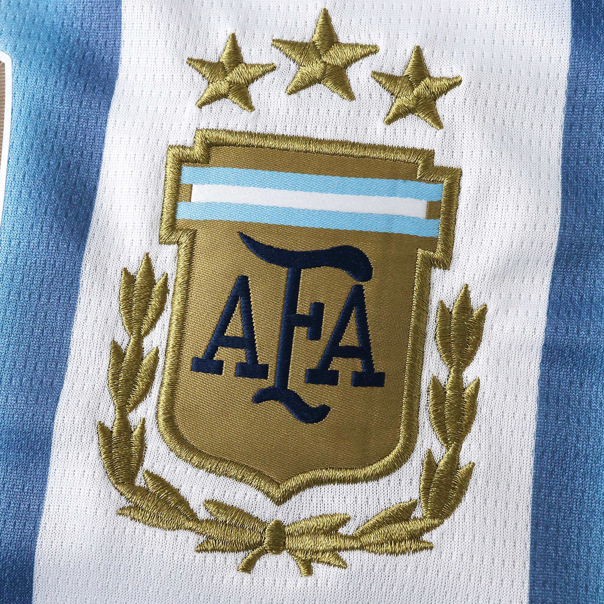 Tricou Argentina Home Kit - Messi 10 Fan Version